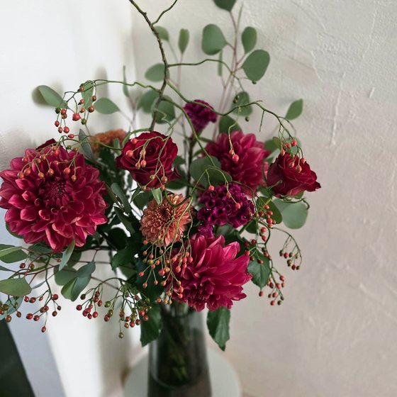 白い壁の前の花瓶に生けた、赤いダリアの花